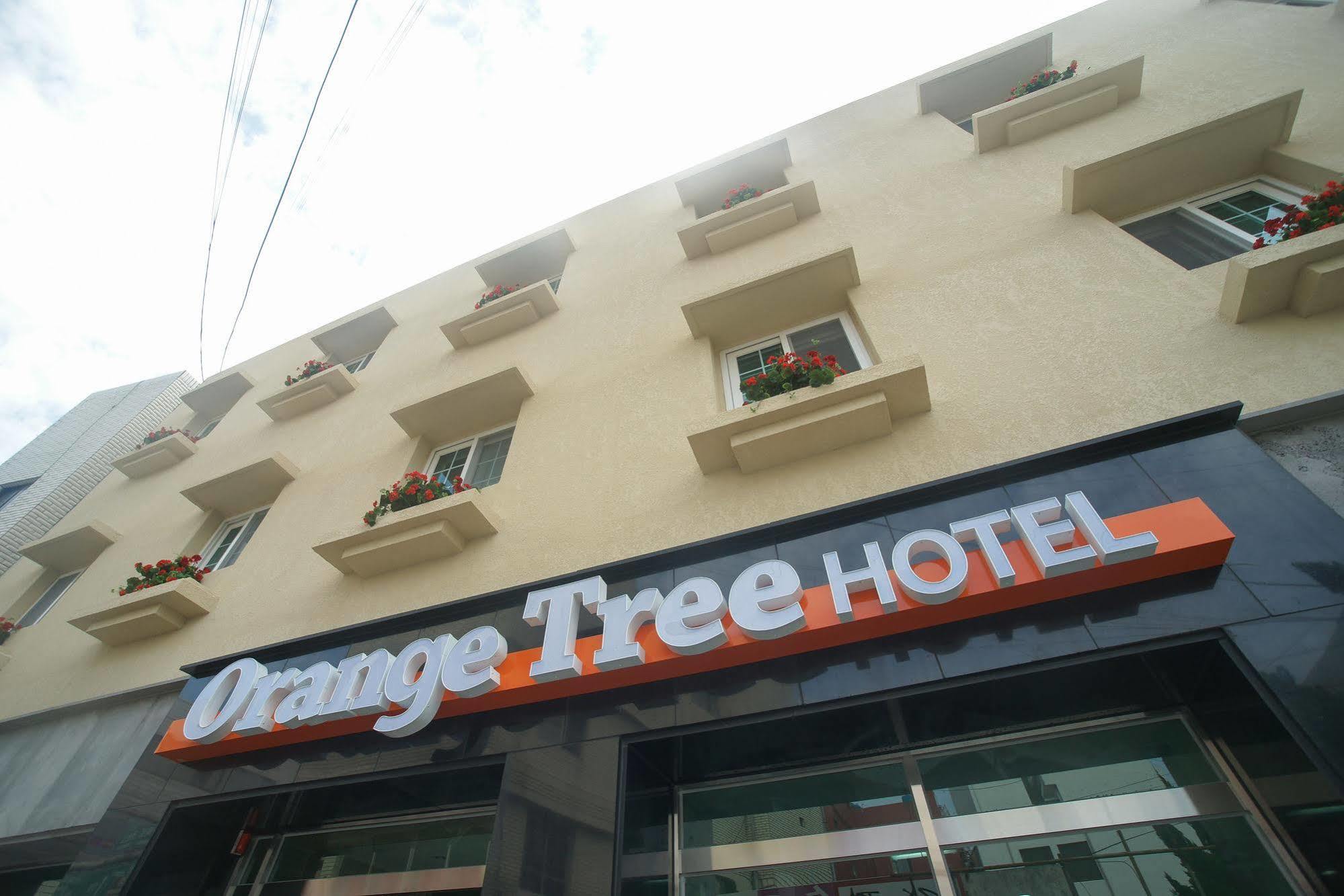 Orange Tree Hotel Jeju Exteriör bild